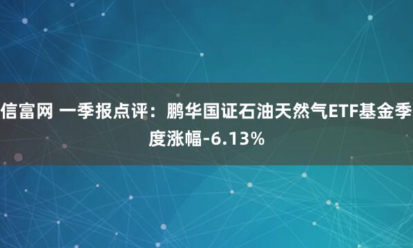 信富网 一季报点评：鹏华国证石油天然气ETF基金季度涨幅-6.13%