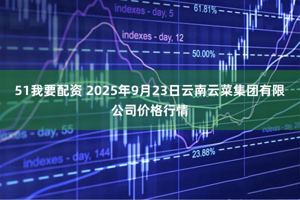 51我要配资 2025年9月23日云南云菜集团有限公司价格行情
