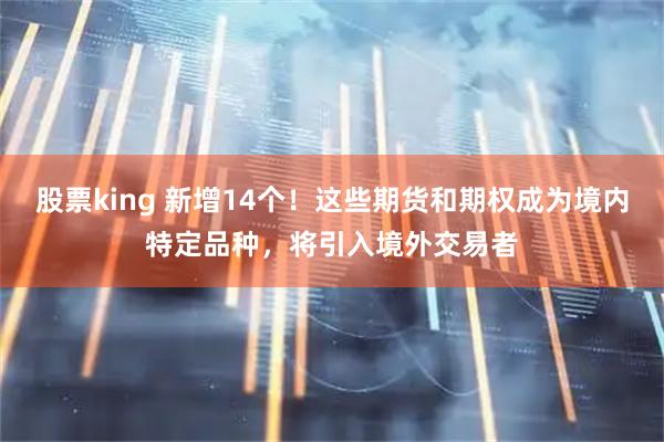 股票king 新增14个！这些期货和期权成为境内特定品种，将引入境外交易者