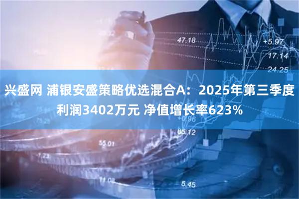 兴盛网 浦银安盛策略优选混合A：2025年第三季度利润3402万元 净值增长率623%